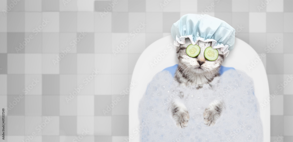 Tabby kitten with shower cap, with pieces of cucumber on it eyes and with cream on it face takes the bath at home. Top down view. Empty spaqce for text Tabby kitten with shower cap, with pieces of cucumber on it eyes and with cream on it face takes the bath at home. Top down view. Empty spaqce for text