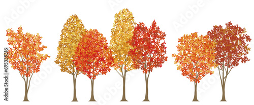 Roadside Trees In Autumn Colors Vector Illustration Isolated On A White Background. 