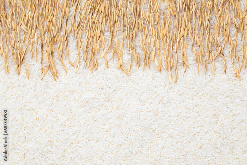 Ears of rice and rice. Creative background of rice and rice ears. white rice background