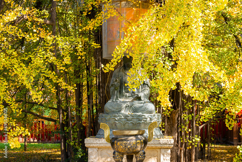 chinese temple with trees