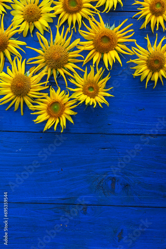 Fototapeta Naklejka Na Ścianę i Meble -  Yellow Sunflowers on a Wooden Blue Table Desk Summer Design Vertical menu Copy Space
