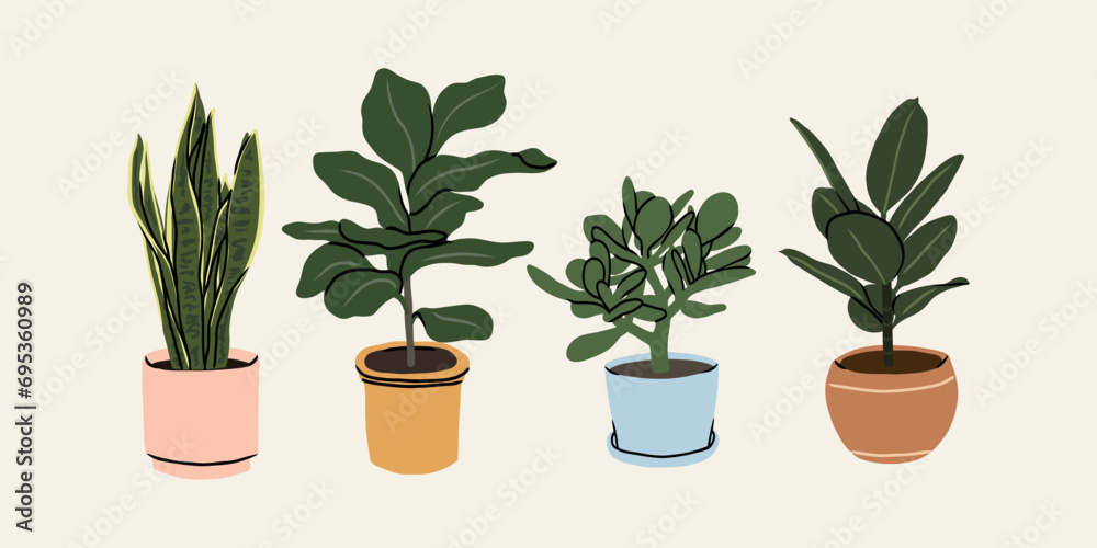 Flat vector houseplants collection. Snake plant, fiddle-leaf fig, jadeplant, rubber tree Flat vector houseplants collection. Snake plant, fiddle-leaf fig, jadeplant, rubber tree