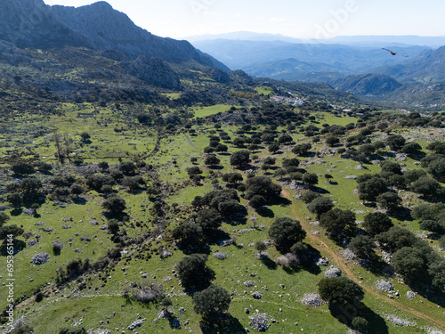 Paisaje tipico del  sur de España , visca desde dron photo