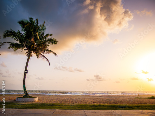 Palm tree at sea shore during sun set and beautiful cloud