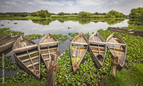 Pequeñas barcas de madera sobre la vegetación de un lago en calma