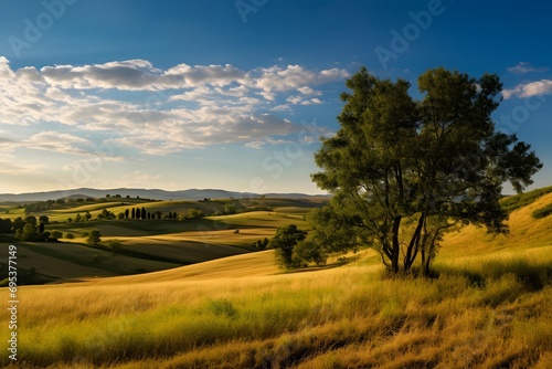 Beautiful panoramic view of rolling hills and a lone tree at sunset