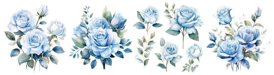 Set of beautiful blue rose flower ,Watercolor collection of hand drawn flowers , Botanical plant illustration Decor cut out transparent isolated on white background ,PNG file ,artwork graphic design.