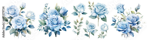 Set of beautiful blue rose flower ,Watercolor collection of hand drawn flowers , Botanical plant illustration Decor cut out transparent isolated on white background ,PNG file ,artwork graphic design.