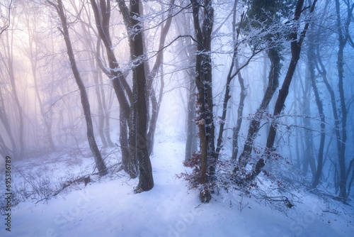 Snow-covered forest in fog at sunset. Winter landscape with snowy foggy trees at dusk. Wintry woods in misty conditions. Frosty winter scene. Enchanting woods. Ethereal winter woodland. Snowscape