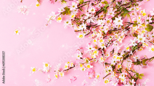 pink cherry blossom © alina
