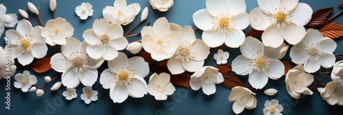 Spring Summer Festive Blooming White Flowers , Banner Image For Website, Background, Desktop Wallpaper