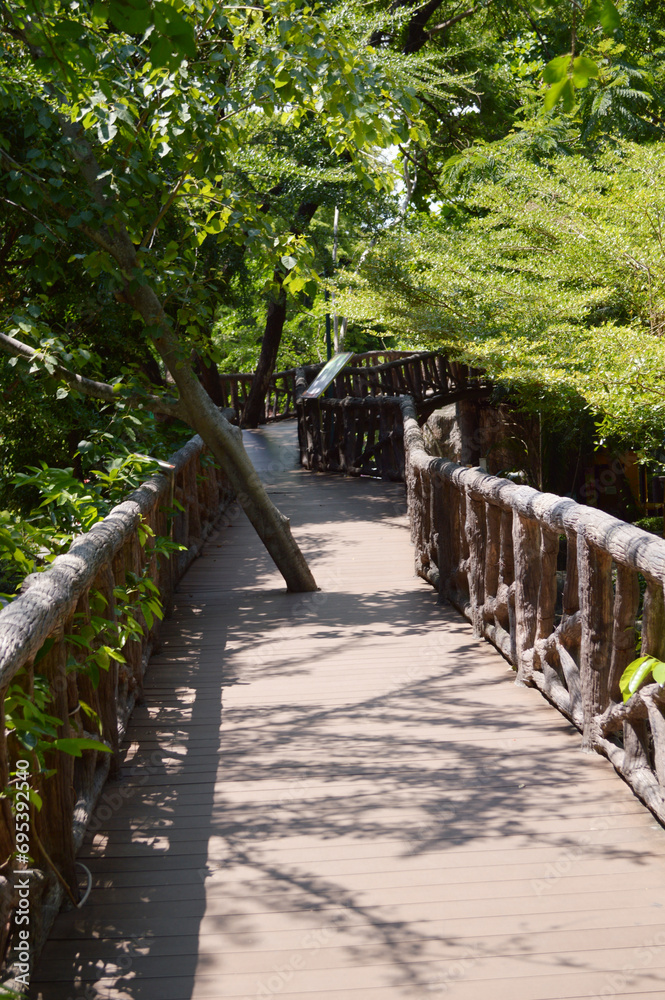 the bridge in the park the bridge in the park