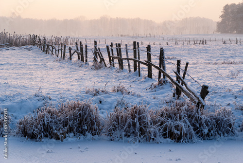 Piękno śnieżnej i mroźnej zimy, Podlasie, Polska