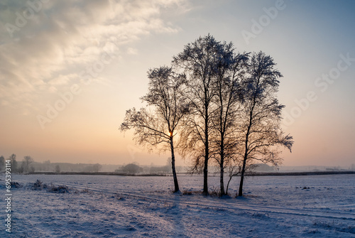 Piękno śnieżnej i mroźnej zimy, Podlasie, Polska © podlaski49