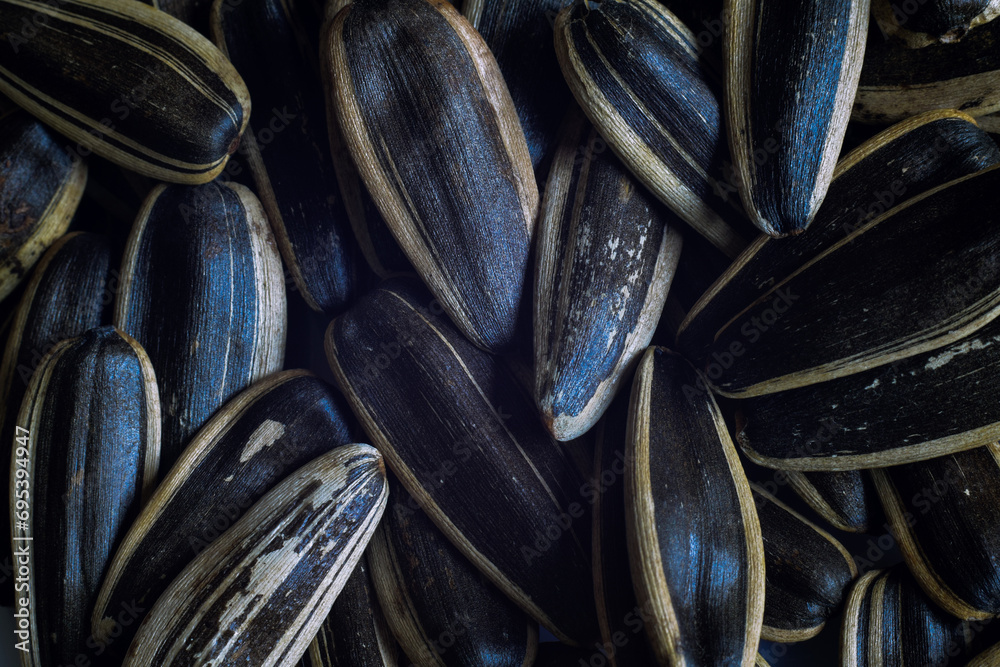 dried sunflower seeds