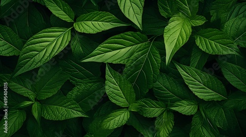 summer leaves background pattern