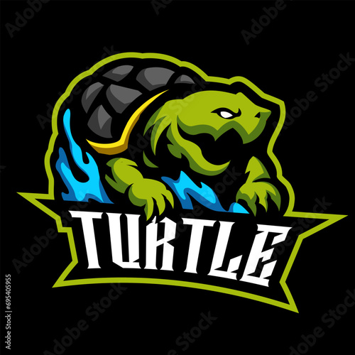 cute turtle mascot vector drawing