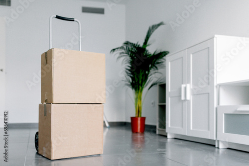 Interior of modern apartment with cardboard boxes photo