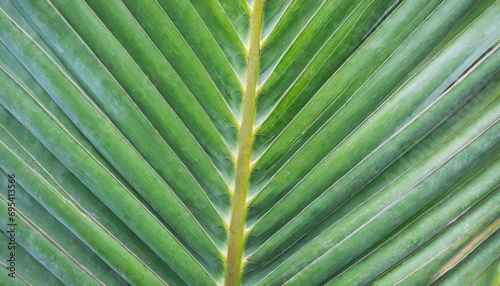Close up of green leaf wallpaper.