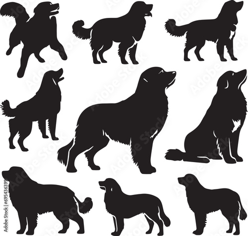 Icon Set Of Dog, Breeds, Canine, Pooch, Hound, Puppy, Mutt, Pet, Doggy editable vector