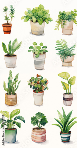 Plantas verdes diversas em vasos diferentes isolado no fundo branco - Ilustração infantil simples 2d  photo