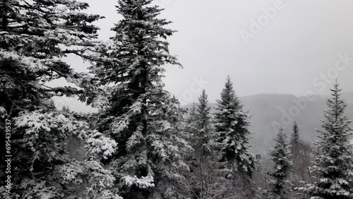 Winter Carpathian forest cinematic aerial view. Drone flying over the wild winter forest. 4K drone footage. Wild nature and landscape from above.