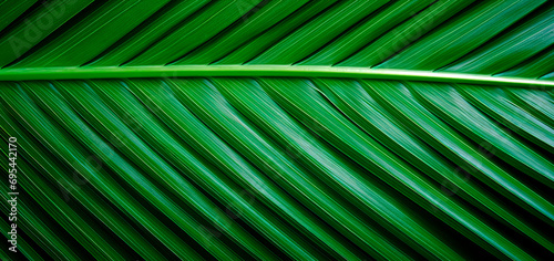 Close-up the palm leaf texture, green backdrop, generative AI background  © Olena Panasovska