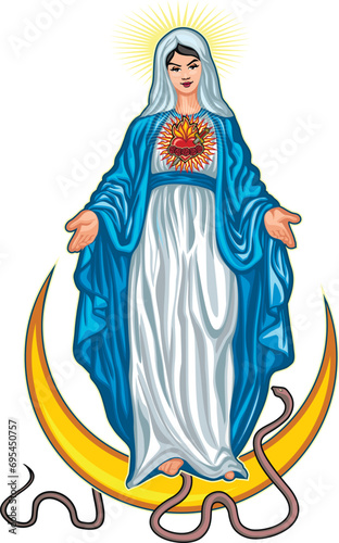 Catholic image of Saint Mary, Madonna