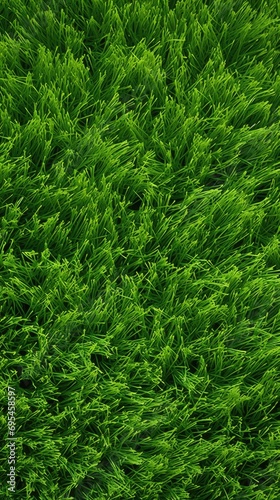 Green lawn top view. Artificial grass background grass green field texture lawn golf nature
