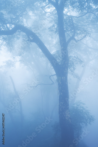 Foggy landscape at Matheran during rainy season