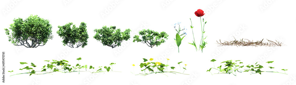 Obraz premium grass and flowers, tree isolated on white background, pack of tree on transparent background