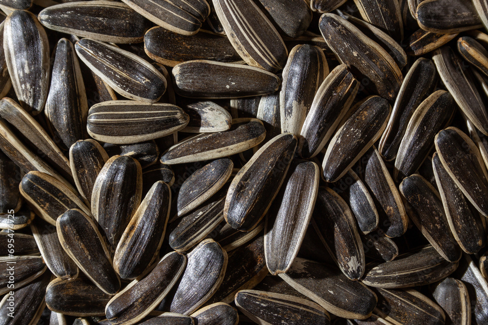 Non Salty Roasted Sunflower Seeds in Shell: A Culinary Canvas of Sunflower Kernels, Creating a Lively and Textured Background for Gourmet Cooking. Scattered Sun Flower Seeds - Top View, Flat Lay Non Salty Roasted Sunflower Seeds in Shell: A Culinary Canvas of Sunflower Kernels, Creating a Lively and Textured Background for Gourmet Cooking. Scattered Sun Flower Seeds - Top View, Flat Lay
