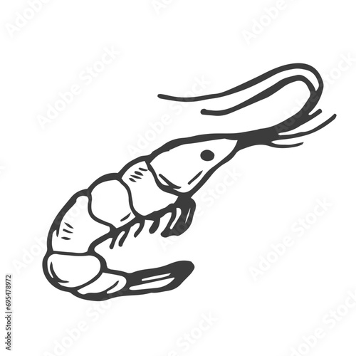 Shrimp doodle symbol. Shrimp logo design. Sea food logo.