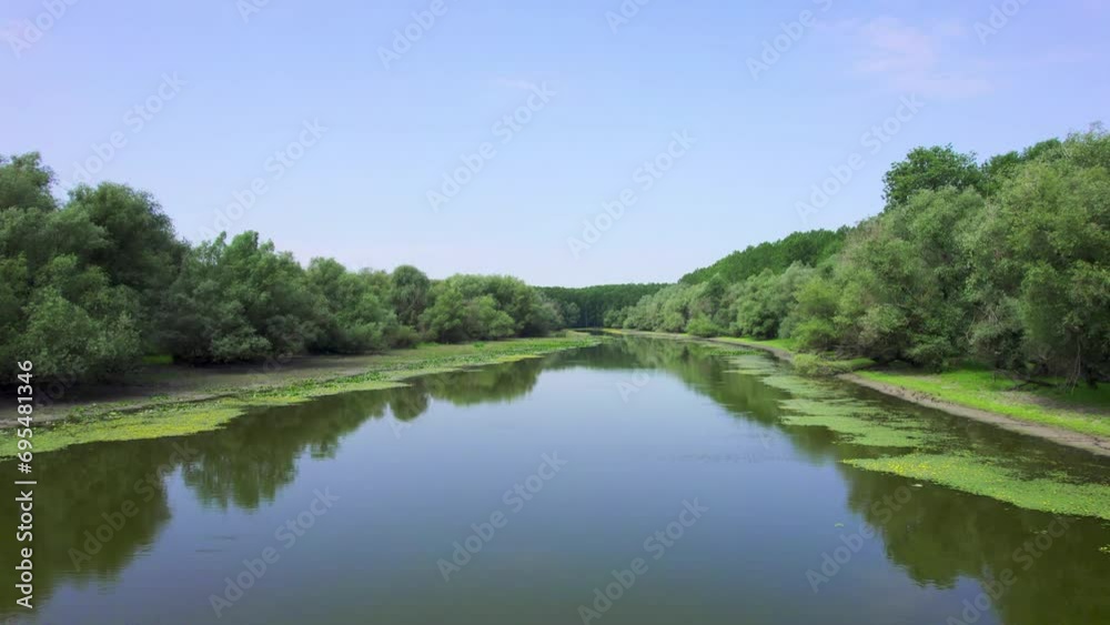 Drone flight above surface of shallow river full of aquatic plants Drone flight above surface of shallow river full of aquatic plants