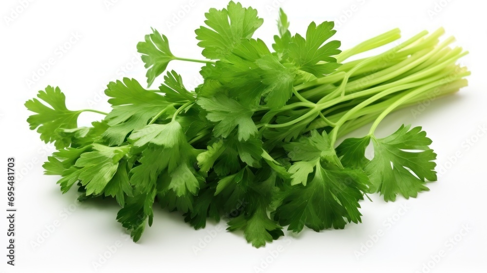Fresh coriander bunch on white background Fresh coriander bunch on white background