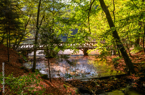 Autumn colors and nature views in Yedig  ller national park. autumn  lake  cloud  tree  colorful leaves.