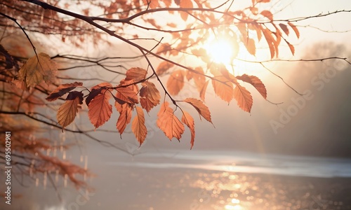 Yellow Autumn Leaves On The Background Of The Rays Of The Sunset photo