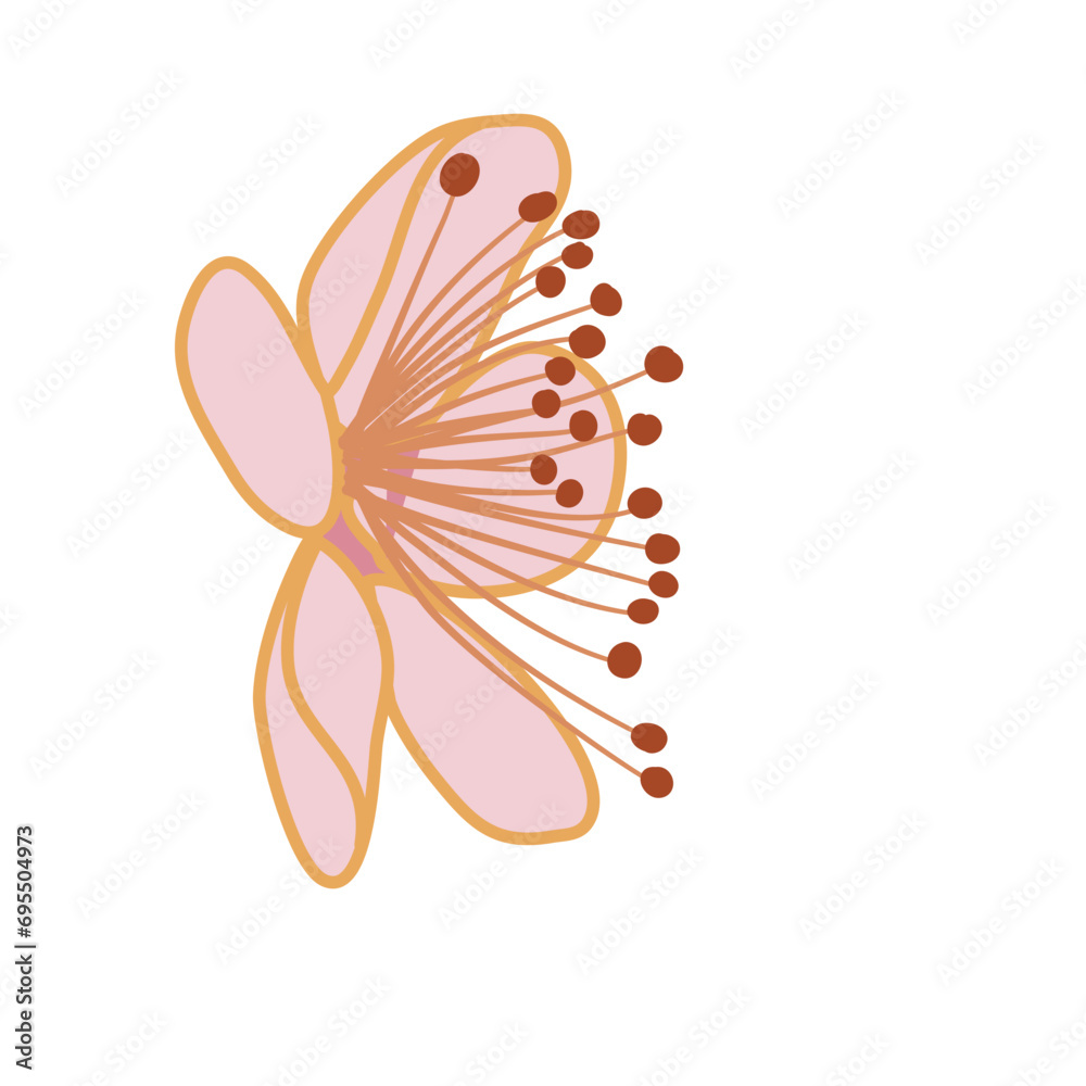 Obraz premium pink sakura flower cherry blossom petal vector illustration