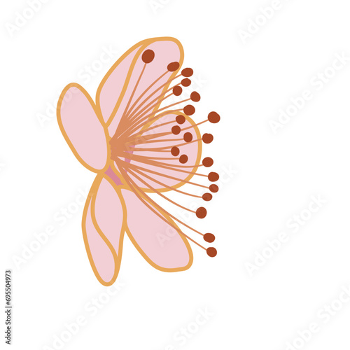 pink sakura flower cherry blossom petal vector illustration