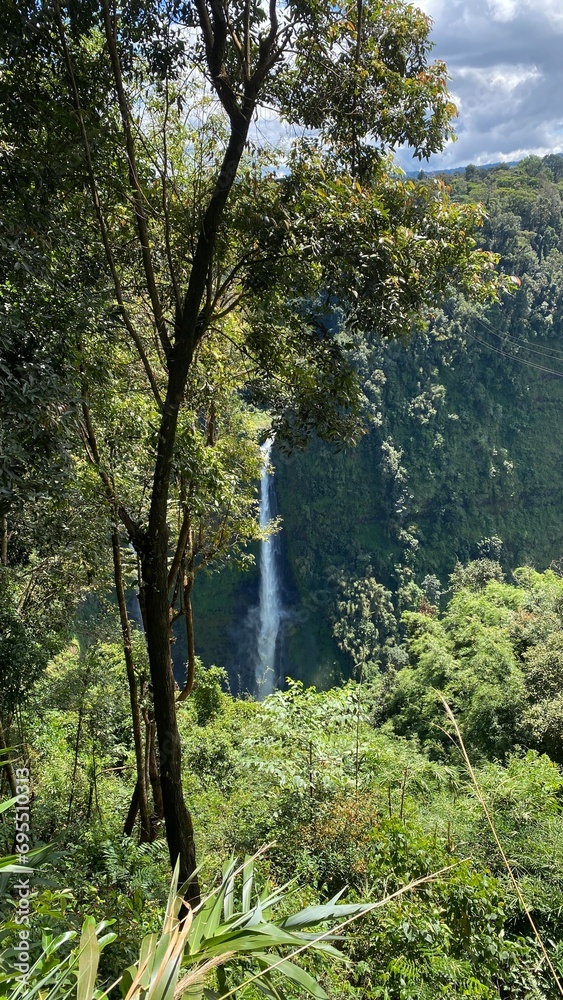 Obraz premium trees on the river