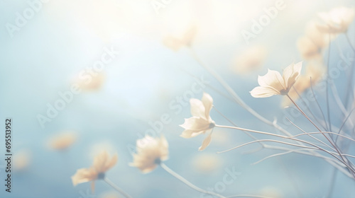 Beautiful soft background with wild flowers