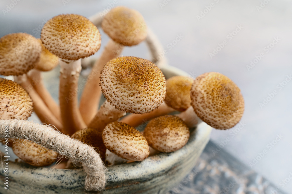 fresh forest mushrooms honey mushrooms in a handmade craft bowl on a wooden board fresh forest mushrooms honey mushrooms in a handmade craft bowl on a wooden board