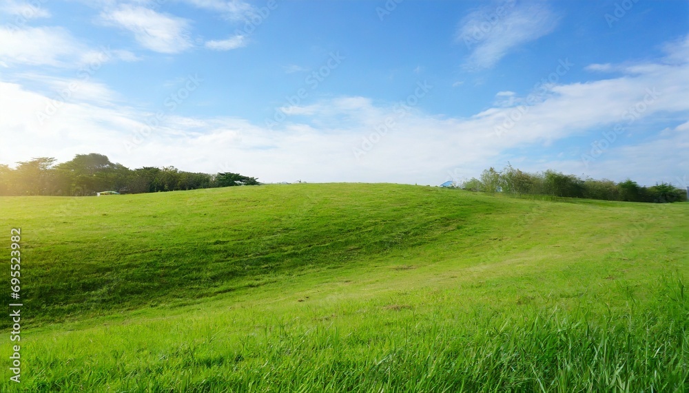 landscape view of green grass field with blue skybackground