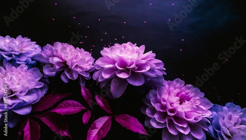 beautiful abstract color blue pink and purple flowers on black background and blue graphic dark pink flower frame and pink leaves texture purple background colorful graphics banner