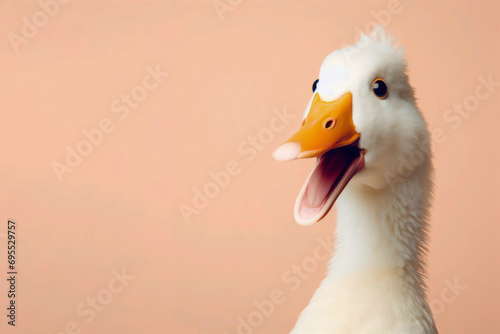 Portrait Banner for Website of surprised amazed duck goose pet with a curious face with open mouth. ai generative
