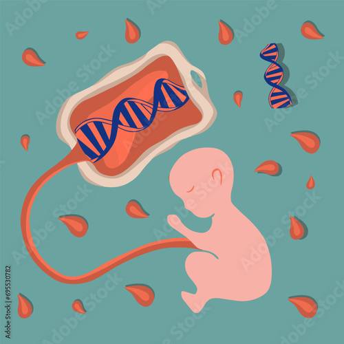 Vector isolated illustration of umbilical cord blood. Stem cells. Freezing stem cells. Collection of umbilical cord blood.