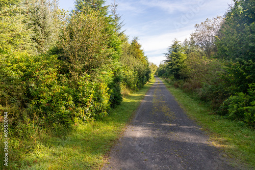 Trail in the Union wood © lisandrotrarbach