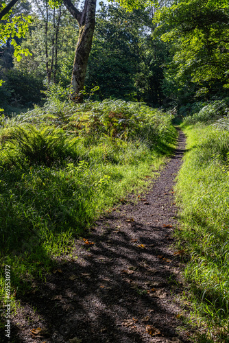 Trail in the Union wood