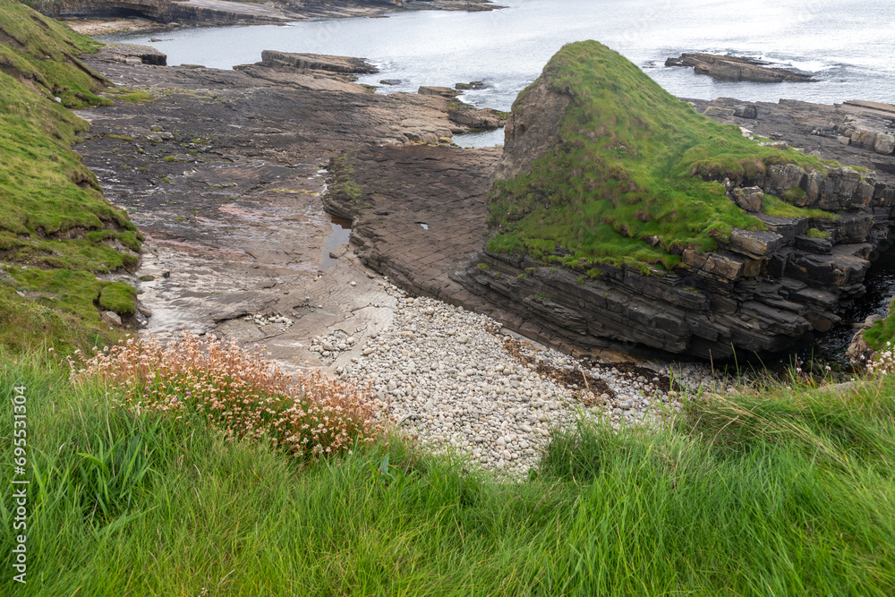 Fototapeta premium Rocks and vegetation in Mullaghmore head