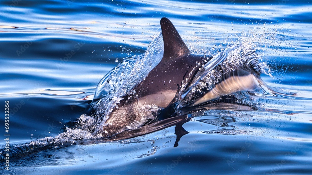 Fototapeta premium Gibraltar, UK